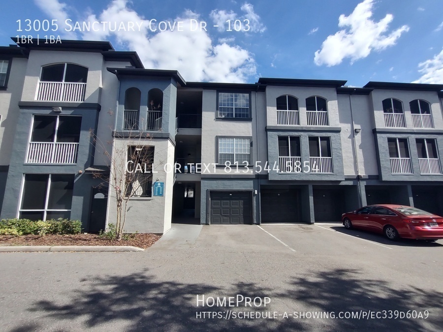 13005 Sanctuary Cove Dr in Temple Terrace, FL - Building Photo
