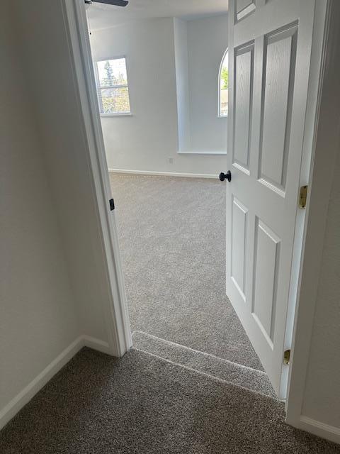 7861 Rodriguez Cir in Sacramento, CA - Building Photo - Building Photo