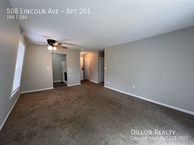 508 Lincoln Ave in Fox Lake, IL - Building Photo - Building Photo