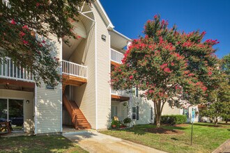 North Beach Apartments in Virginia Beach, VA - Building Photo - Building Photo