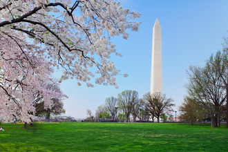 Halstead Tower by Windsor in Alexandria, VA - Building Photo - Building Photo