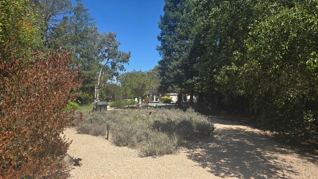 395 Spring Beauty Ct in Windsor, CA - Building Photo - Building Photo