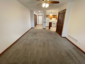730 N Seminary Ave in Woodstock, IL - Building Photo - Building Photo