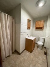 51 Vinton St in Springfield, MA - Building Photo - Building Photo