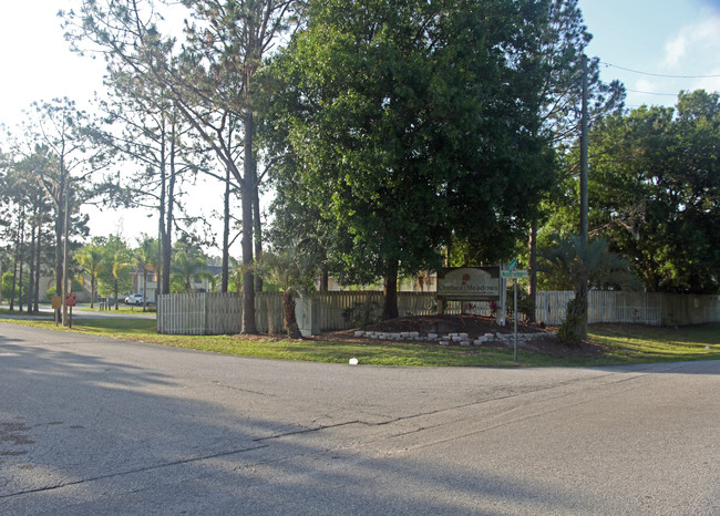 Chelsea Meadows in Land O Lakes, FL - Building Photo - Building Photo