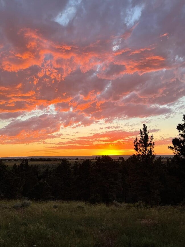 property at 4190 Blackpool Trail