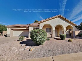 686 E Colt Ct in Chandler, AZ - Building Photo