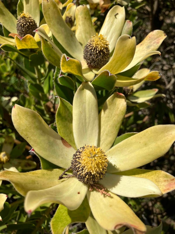 2444 E Mobile Ln, Unit 2 in Phoenix, AZ - Building Photo - Building Photo