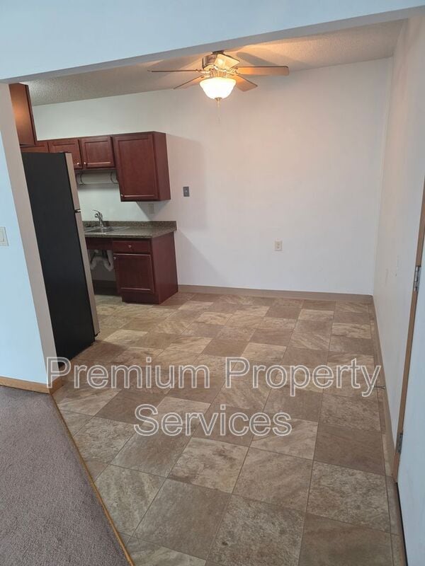 435 Willis Ave in Rochelle, IL - Building Photo - Building Photo