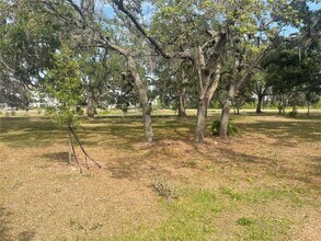 30681 Veridian Wy in Wesley Chapel, FL - Building Photo - Building Photo