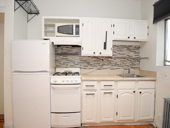 257 W Newton St, Unit 1 in Boston, MA - Building Photo - Building Photo