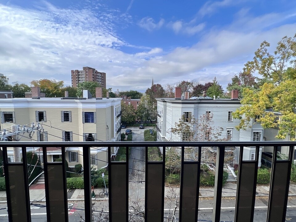 16 Ellery St-Unit -502 in Cambridge, MA - Building Photo