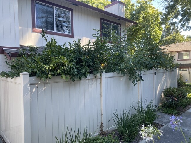 property at 2539 Blue Rock Ct