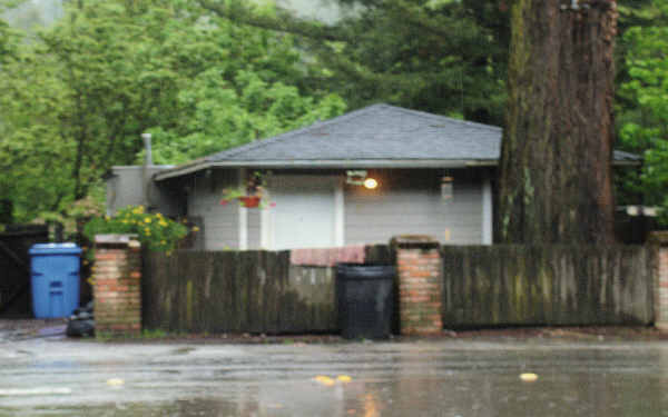 14975 River Rd in Guerneville, CA - Building Photo - Building Photo