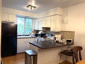 539 W Stratford Pl in Chicago, IL - Building Photo - Building Photo