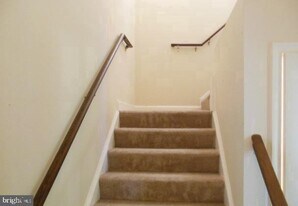 12286 Fort Buffalo Cir in Fairfax, VA - Building Photo