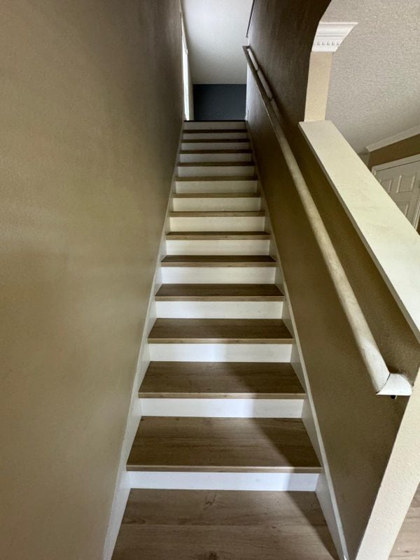 13548 Tea Rose Way in Orlando, FL - Building Photo - Building Photo