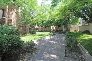 Crestview North Apartments in Carmichael, CA - Building Photo - Building Photo