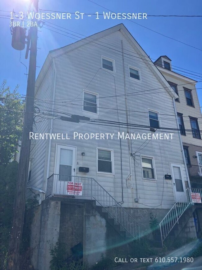 1-3 Woessner Ave in Pittsburgh, PA - Building Photo - Building Photo