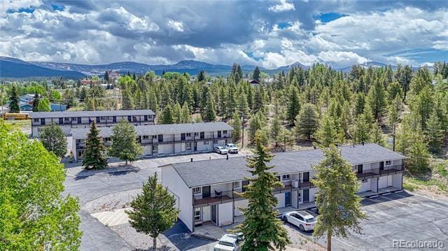 921 Mt Massive Dr in Leadville, CO - Building Photo