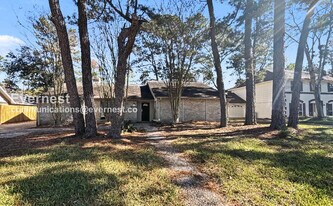 14142 Burke Forest Dr in Houston, TX - Building Photo