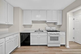 10-12-12 Chestnut St in Suffern, NY - Building Photo - Building Photo