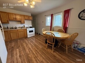 807 Bellepark Dr in Champaign, IL - Building Photo - Building Photo