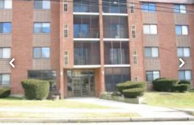 11 Bassett St, Unit 11 Bassett St APT A1