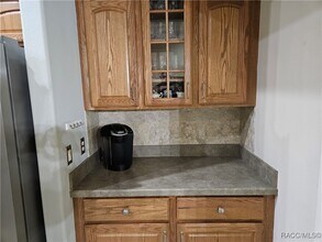 1369 W Diamond Shore Loop in Hernando, FL - Building Photo - Building Photo