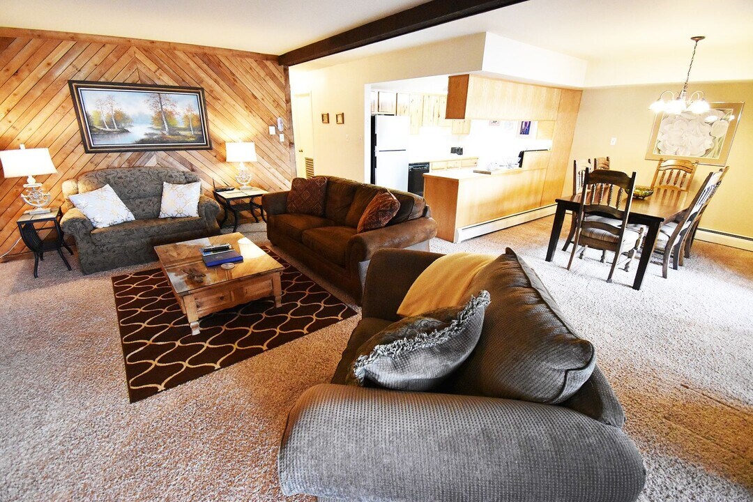 224 W Lodgepole St in Dillon, CO - Building Photo
