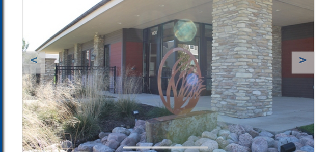 1535 SE Waddell Way in Waukee, IA - Building Photo - Building Photo