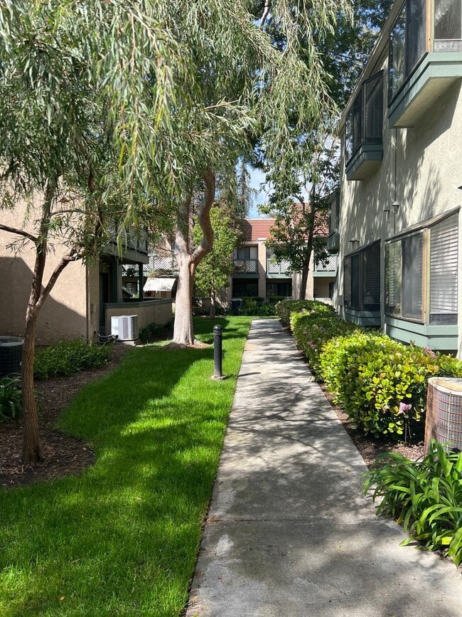 3530 W Sweetbay Ct in Anaheim, CA - Building Photo - Building Photo