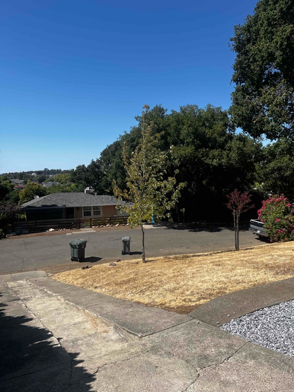 232 Mountain View Ave in Vallejo, CA - Building Photo - Building Photo