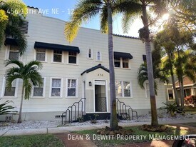 456 13th Ave NE in St. Petersburg, FL - Building Photo
