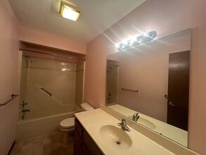 917 Rickard Ct in Springfield, IL - Building Photo - Building Photo