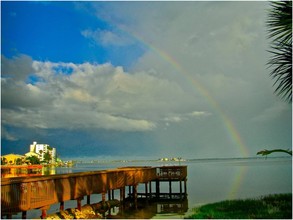 Scottish Towers II in Dunedin, FL - Building Photo - Building Photo