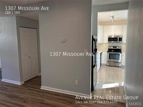 1307 Missouri Ave in St. Louis, MO - Building Photo - Building Photo