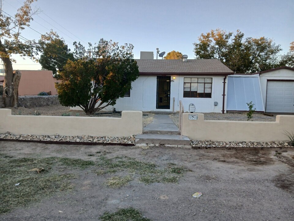 151 Hollyhock Ave in Las Cruces, NM - Building Photo