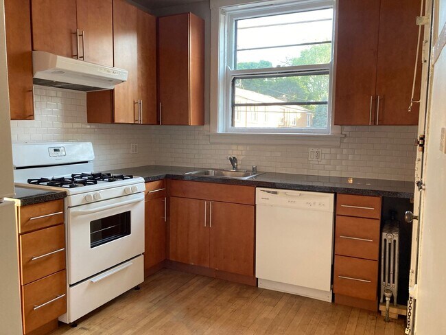 1619 W Thome Ave-Unit -1619-1S in Chicago, IL - Building Photo - Building Photo