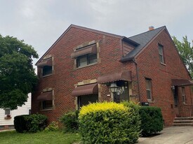 24550 Puritan Ave in Euclid, OH - Building Photo
