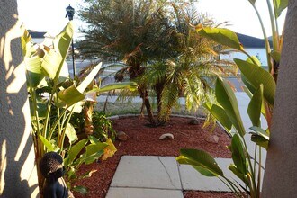 11808 Thicket Wood Dr in Riverview, FL - Building Photo - Building Photo