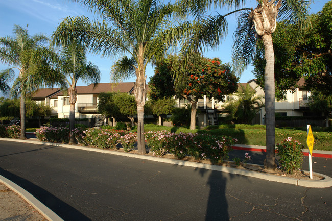 Hollipat Apartments in Santa Barbara, CA - Building Photo - Building Photo