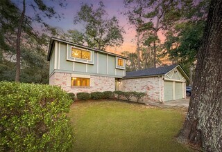 56 E White Willow Cir in Spring, TX - Building Photo - Building Photo