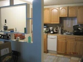 365 Faneuil St in Boston, MA - Building Photo