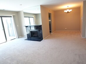 391 Thornhill Ct in Schaumburg, IL - Building Photo - Building Photo