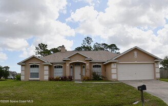995 Black Coral Ave NW in Palm Bay, FL - Building Photo