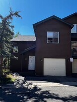 55 Salt Lick Pl in Silverthorne, CO - Building Photo