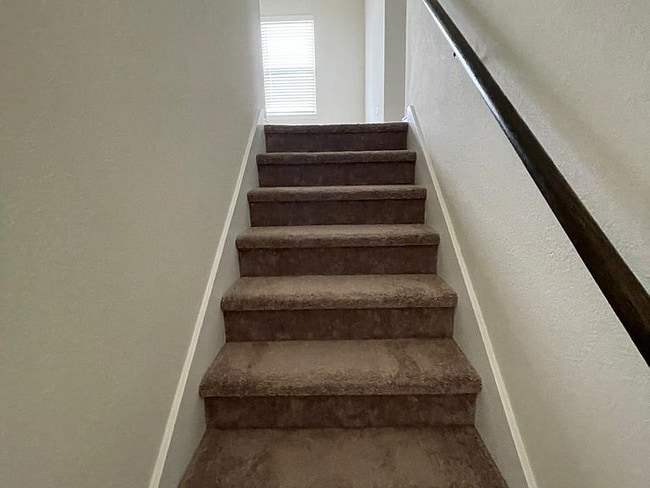 177 Purple Sandpiper Ln in Leander, TX - Building Photo - Building Photo