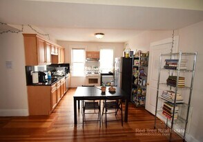 115 Browne St, Unit 3 in Brookline, MA - Building Photo