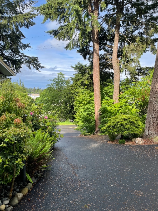 12511 A St S in Tacoma, WA - Building Photo - Building Photo